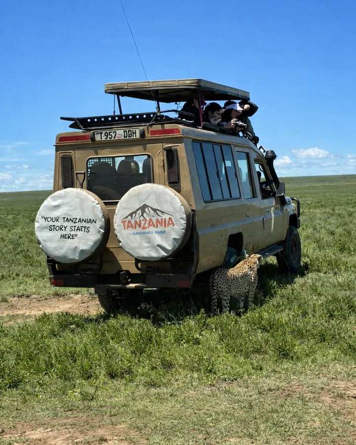 Tanzania Adventures Group safari vehicle with wildlife