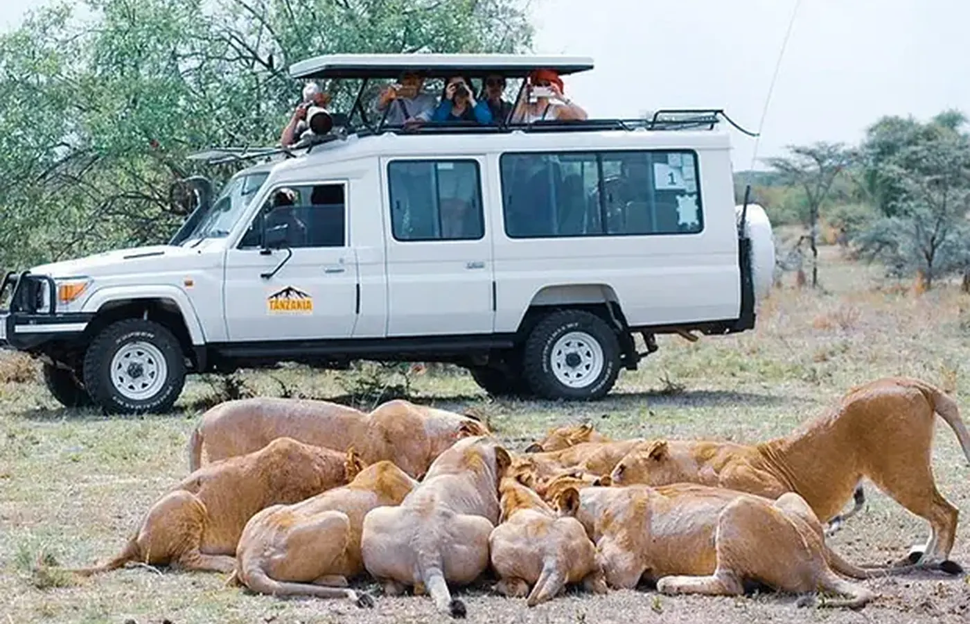 7-Day Experience Fly-In Kenya Safari and Diani Beach Holiday From Kilimanjaro International Airport image 1