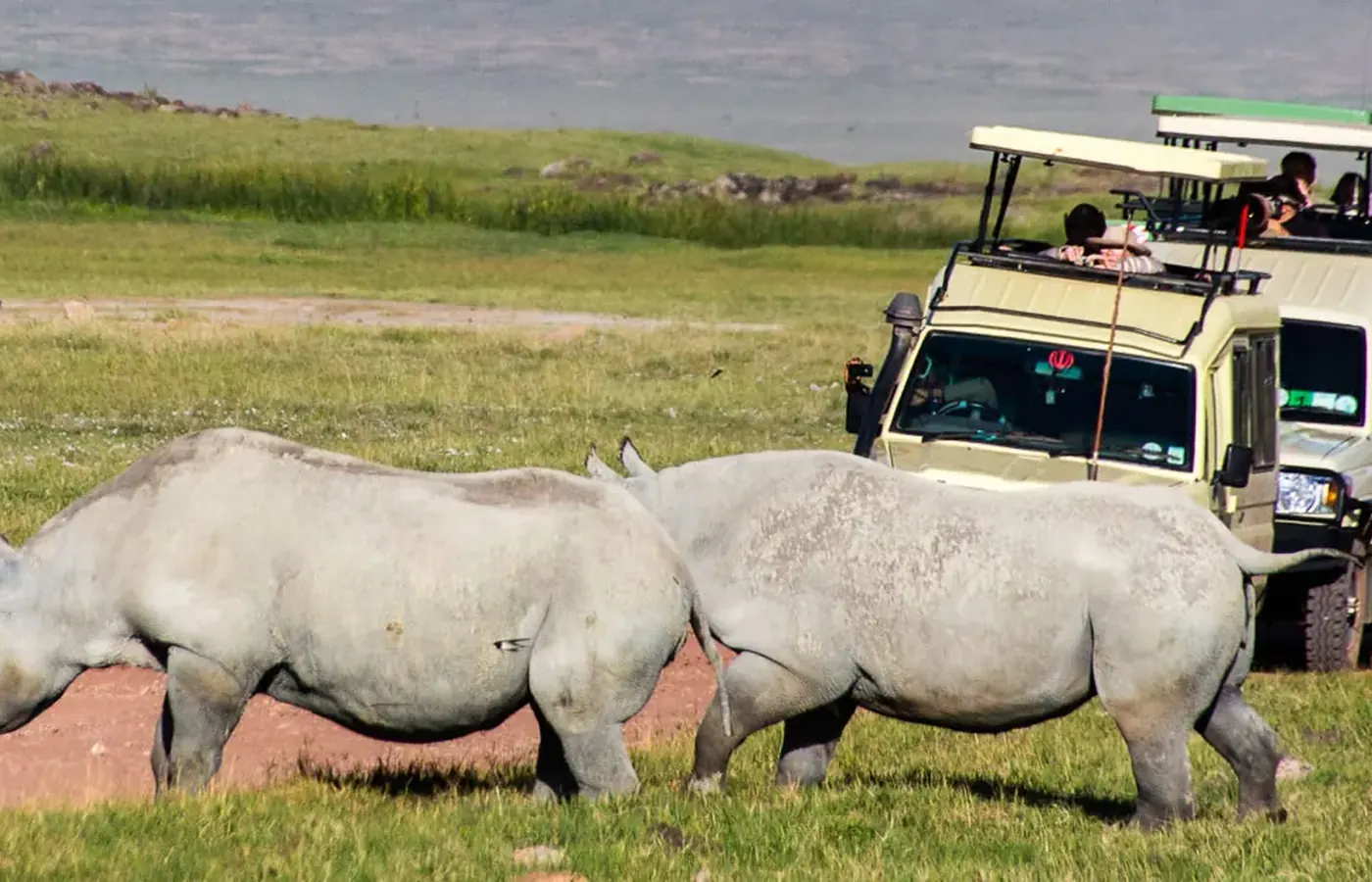5-Day Complete Fly-In Southern Tanzania Ruaha and Nyerere Safari From Mombasa image 1