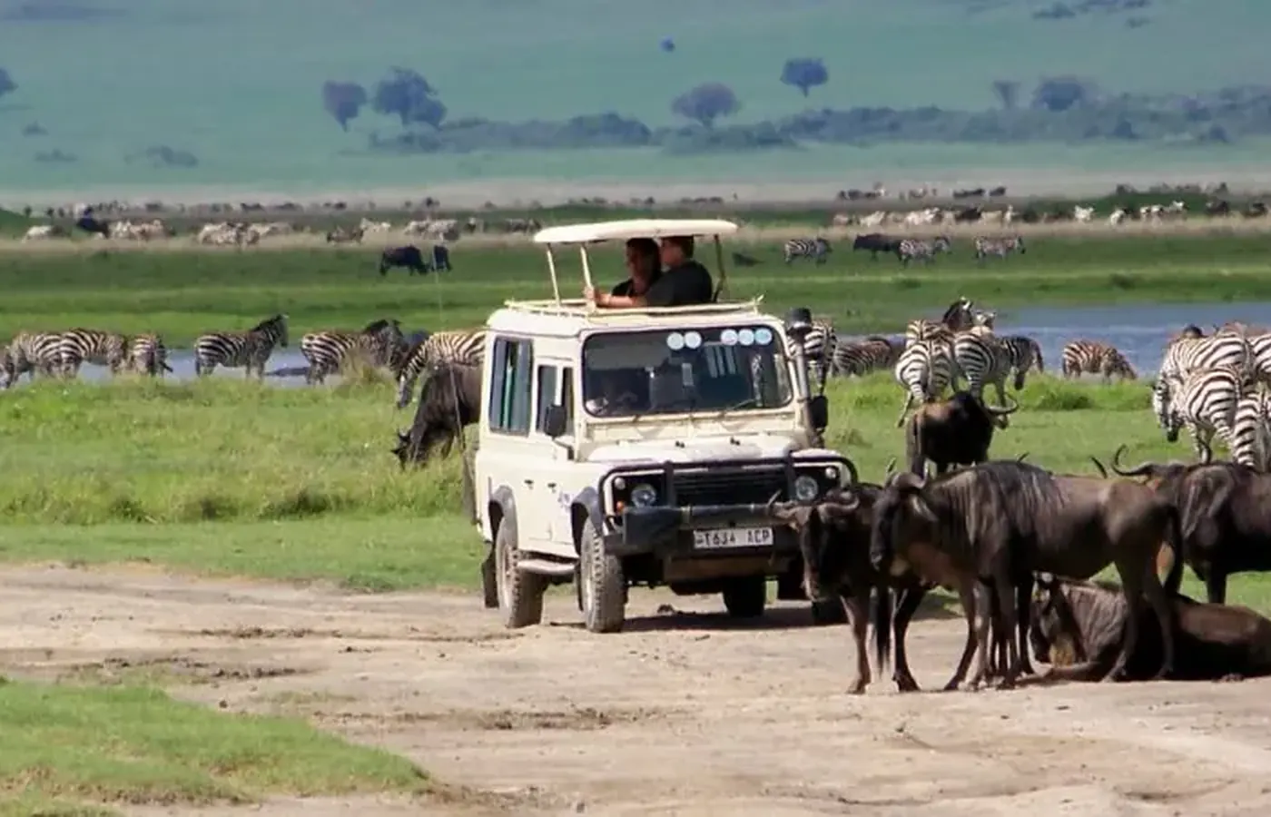5-Day Great Group Joining Southern Tanzania Ruaha and Nyerere Safari From Zanzibar image 1
