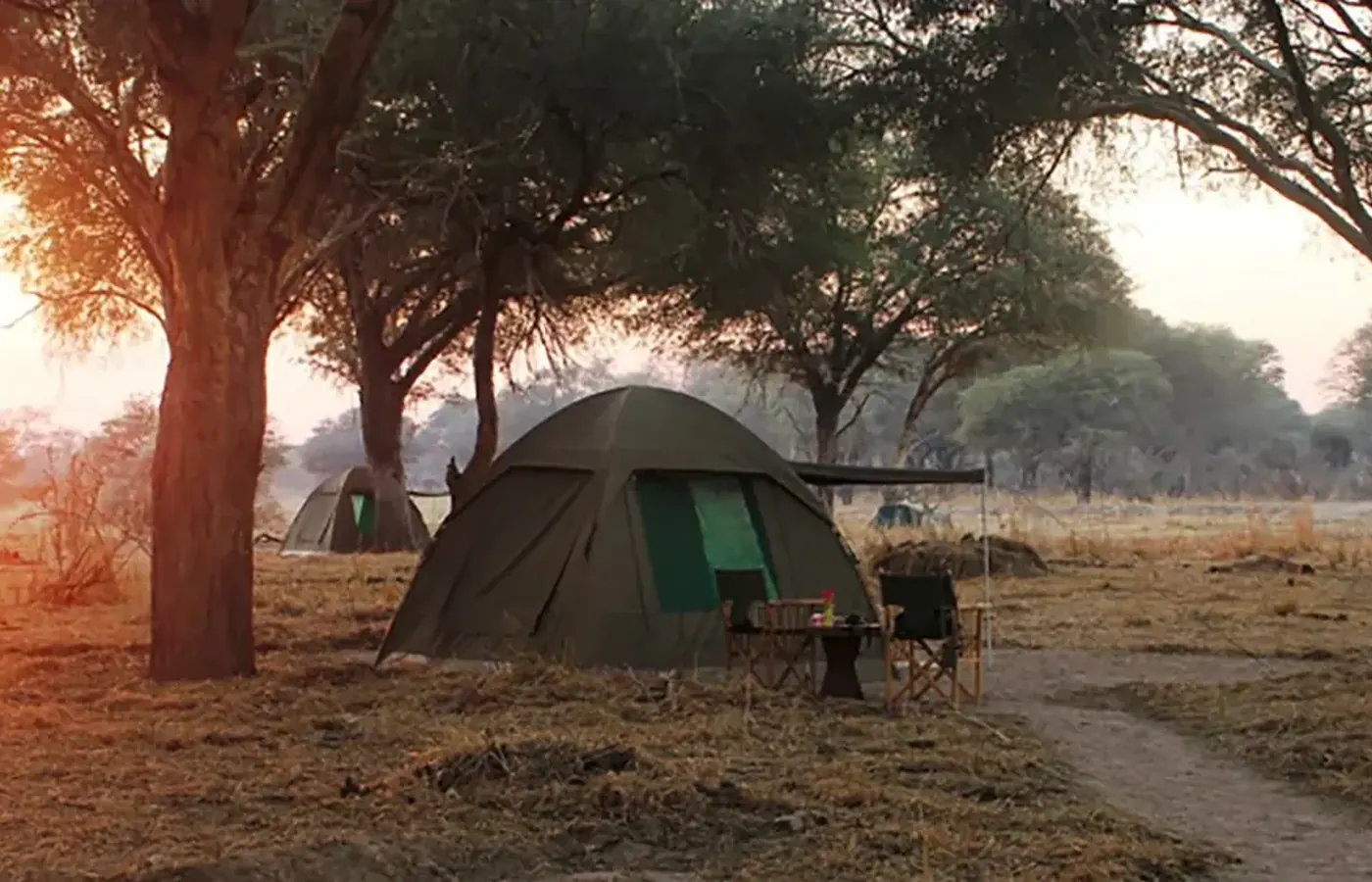 12-Day Discover Family Safari Southern Tanzania Ruaha and Nyerere Safari From Zanzibar image 1