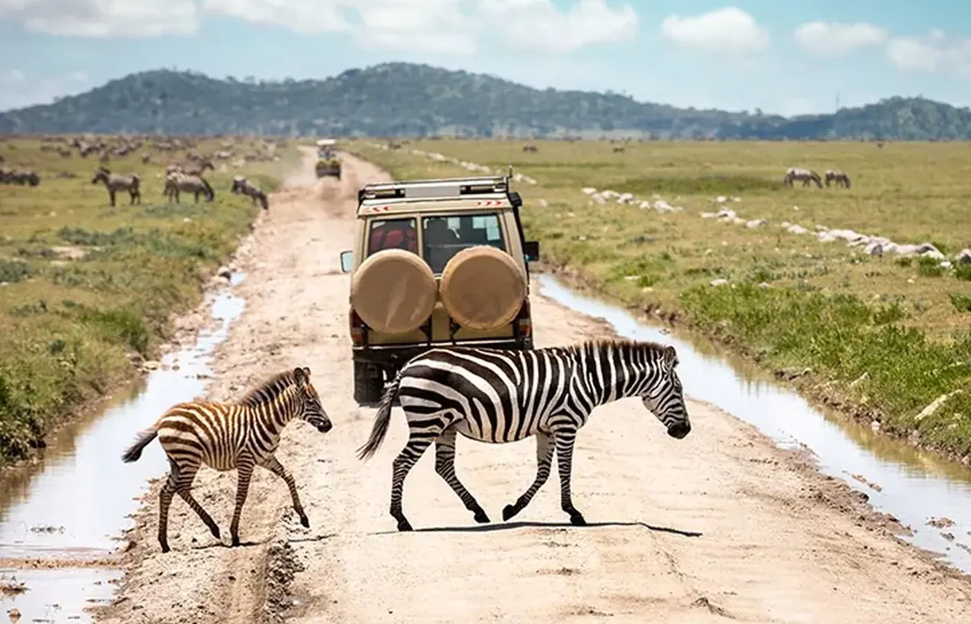6-Day Ultimate Luxury Lodge Kenya Safari and Diani Beach Holiday From Mombasa image 1