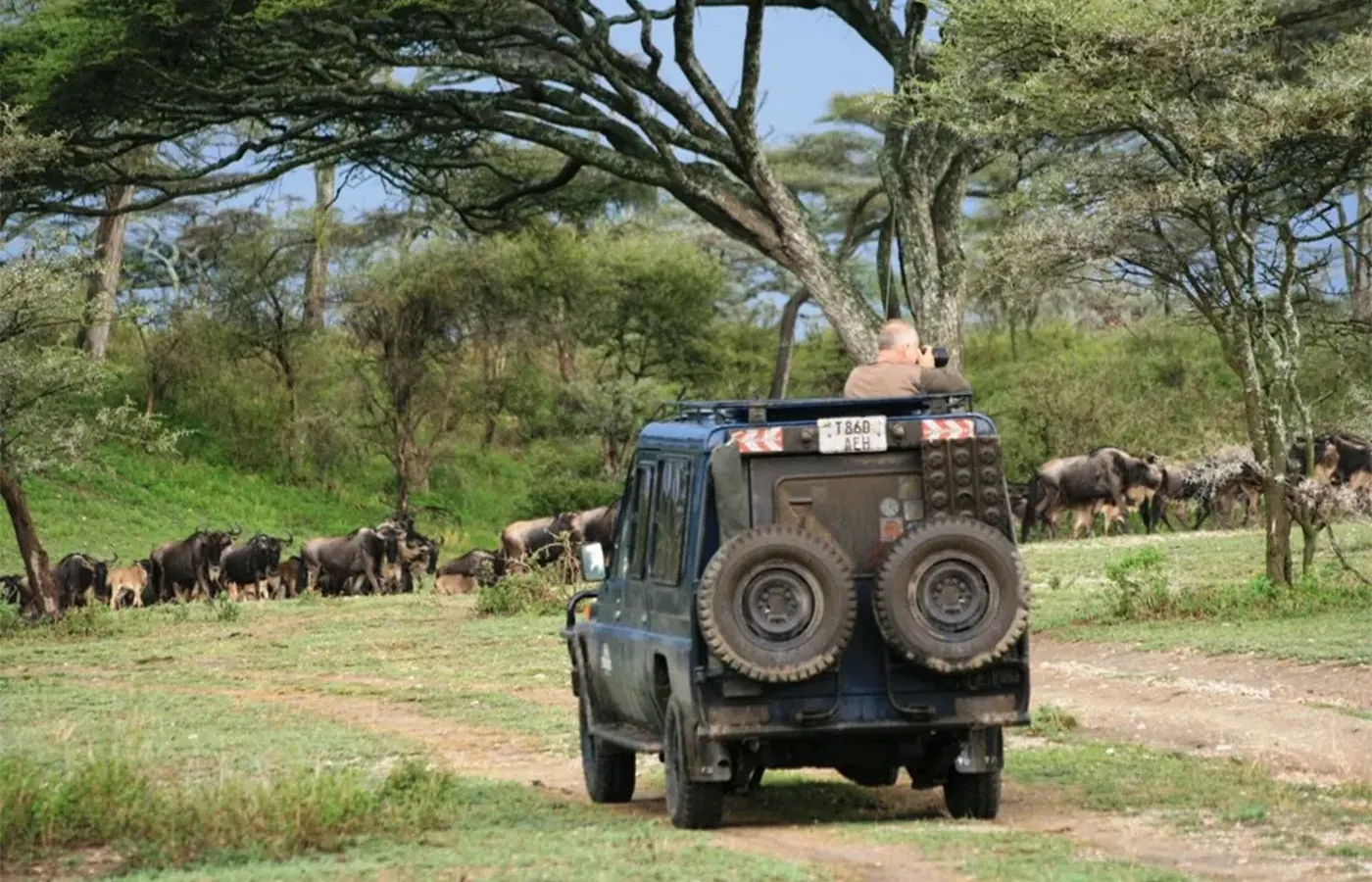 6-Day Tailor Made Photography Rwanda Uganda Gorilla and Wildlife Journey From Dar Es Salaam image 1