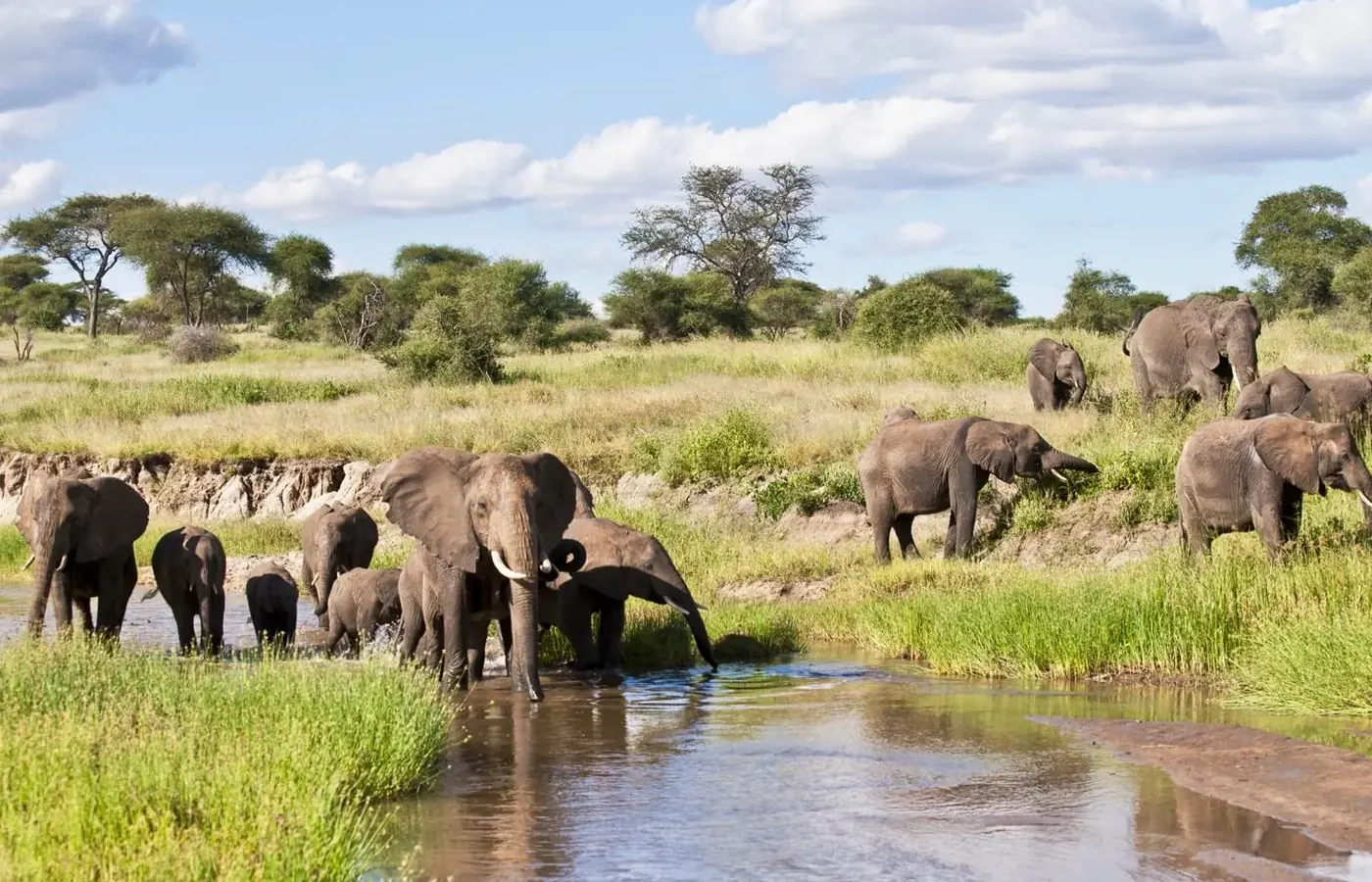 3-Day Great Luxury Lodge Northern Circuit Safari From Kigali image 1
