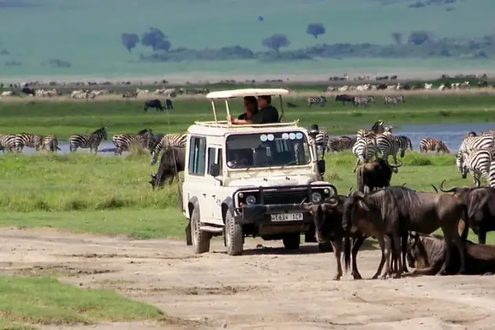 Luxury safari
