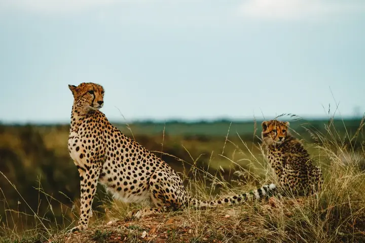 East Africa travel experience