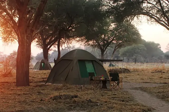 4-Day Best Midrange Lodge Ndutu Calving Season Safari From Zanzibar