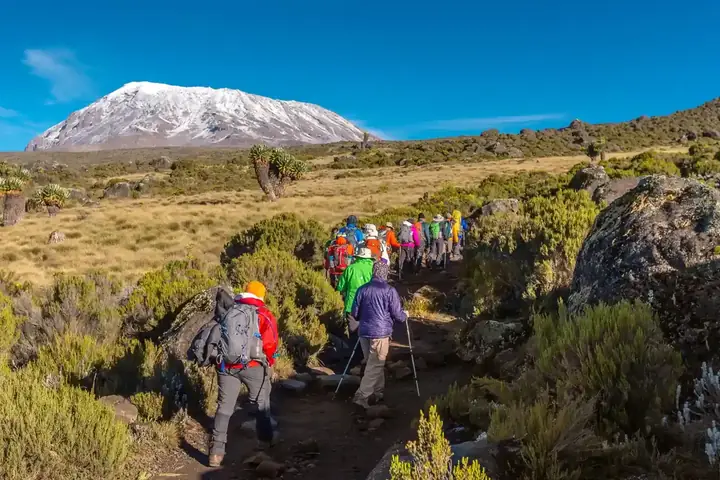 6-Day Signature Luxury Lodge Kilimanjaro Rongai Route Climb From Dar Es Salaam