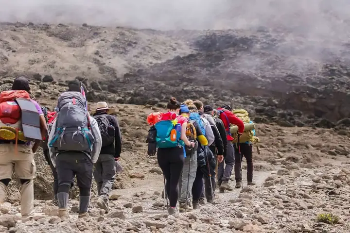 16-Day Great Great Migration Kilimanjaro Safari and Zanzibar Grand Combo From Moshi