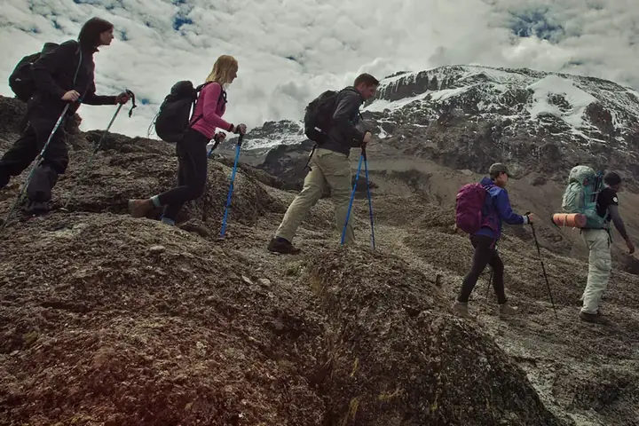 8-Day Private Luxury Lodge Kilimanjaro Northern Circuit Climb From Dar Es Salaam image 4