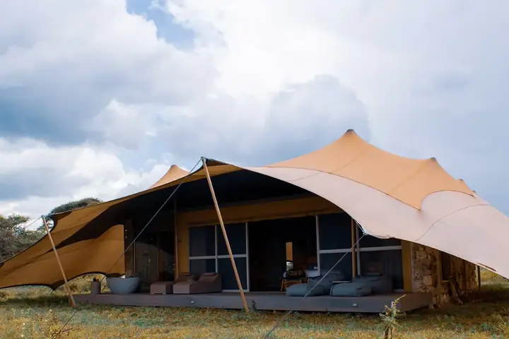 7-Day Discover Honeymoon Ndutu Calving Season Safari From Zanzibar image 3