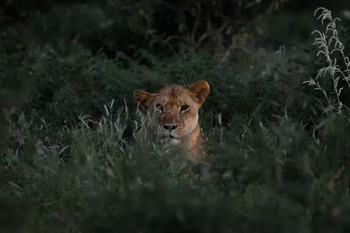 East Africa travel experience