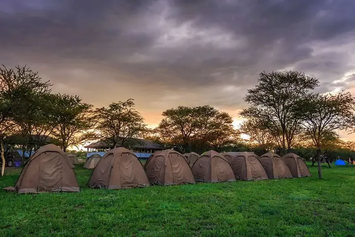 East Africa travel experience