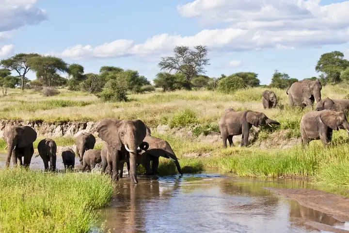 2-Day Ultimate Midrange Lodge Tarangire Ngorongoro and Lake Manyara Safari From Zanzibar